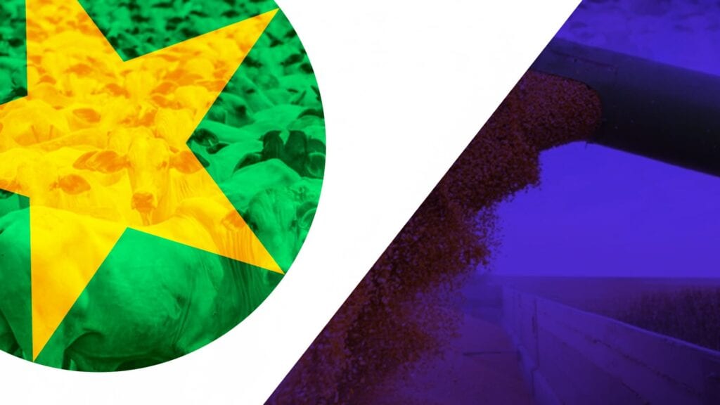 sema mt disponibiliza whatsapp para duvidas sobre o car 1