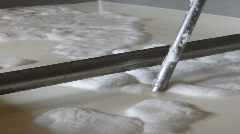 Sindilat/RS pede ao governo federal revisão de alíquotas de importação do Whey  