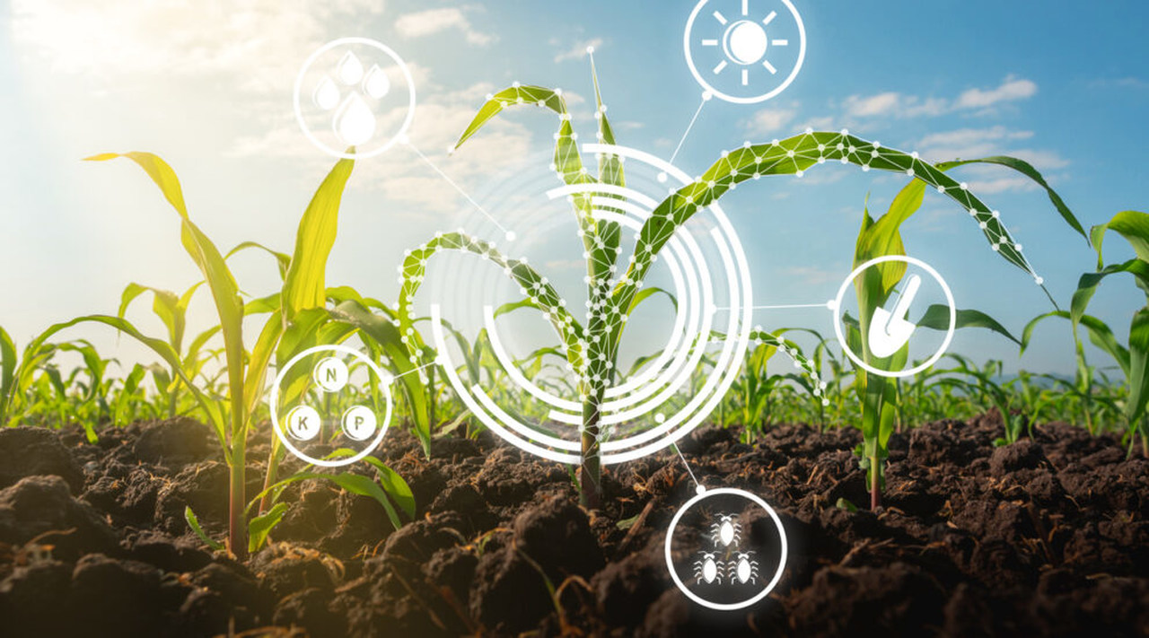 sistema cna senar inicia acoes do projeto campo futuro