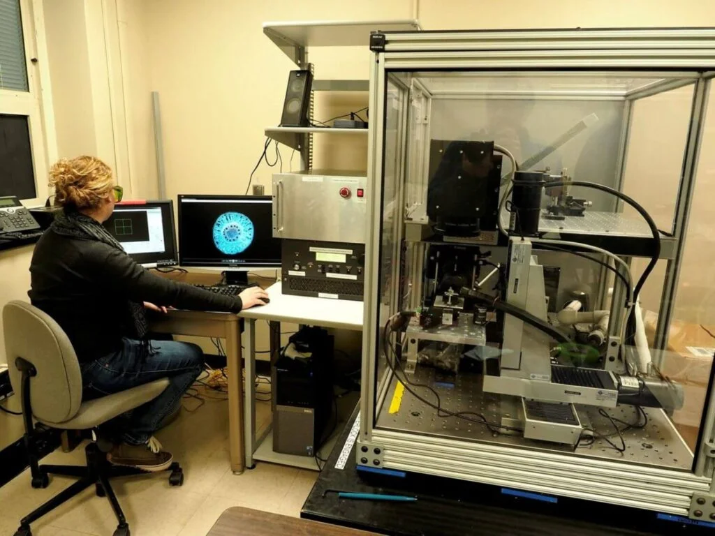 super milho e desenvolvido após Descoberta 16 super milho, gene recém-descoberto, indústria agrícola, segurança alimentar, sustentabilidade, genética, biotecnologia, variedades de milho, resistência, produtividade