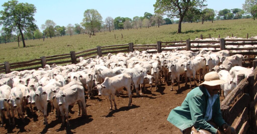 taxa de formalidade no agro alcancou 401 entre 2019 e 2022 informa fpa portal dbo