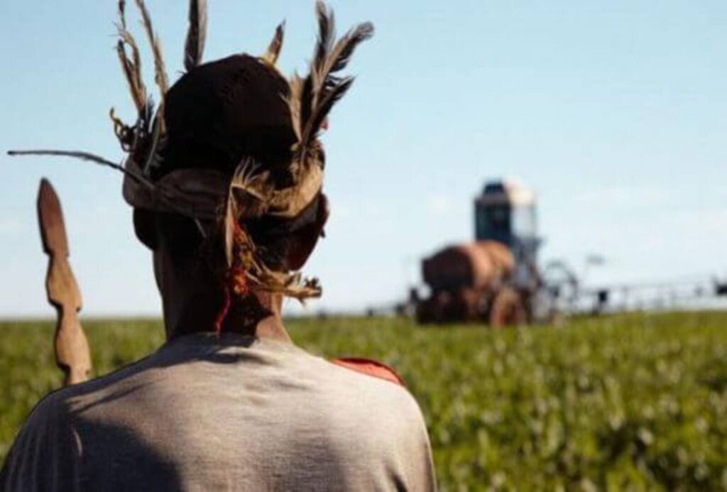 terra indígena e impactada com Soja, milho e pecuária 9 Terra Indígena, Paraná, Soja, Milho, Pecuária, Domínio, Estudo, Terras, Indígenas, Situação