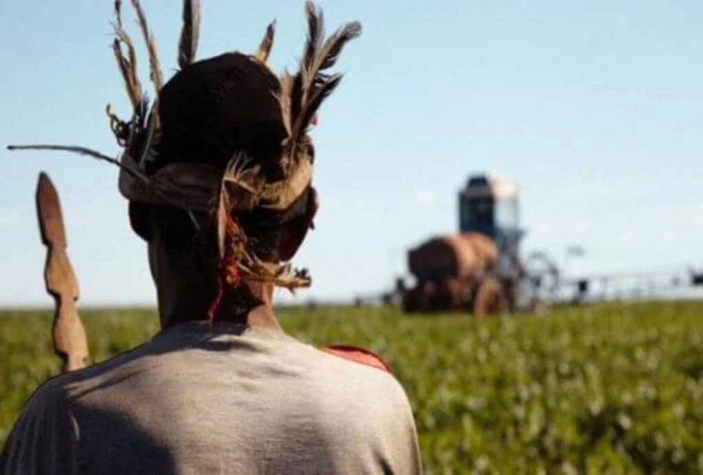 terra indígena e impactada com Soja, milho e pecuária 2 Terra Indígena, Paraná, Soja, Milho, Pecuária, Domínio, Estudo, Terras, Indígenas, Situação