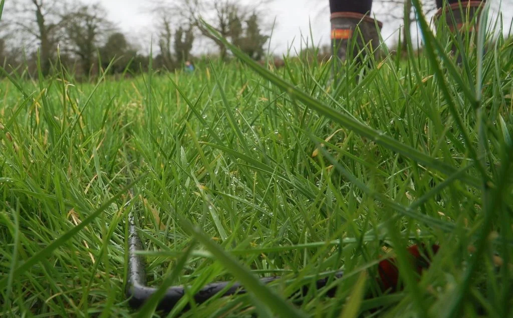 time to get back in the habit of measuring grass 1