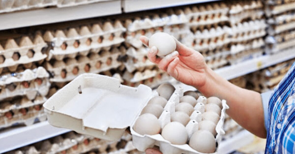 valores dos ovos fecham marco em elevacao portal dbo