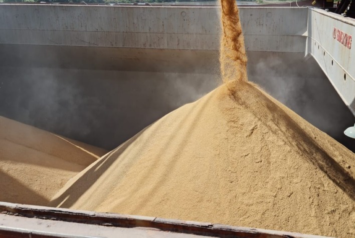Exportacoes do Brasil de arroz em casca somam 16372 mil