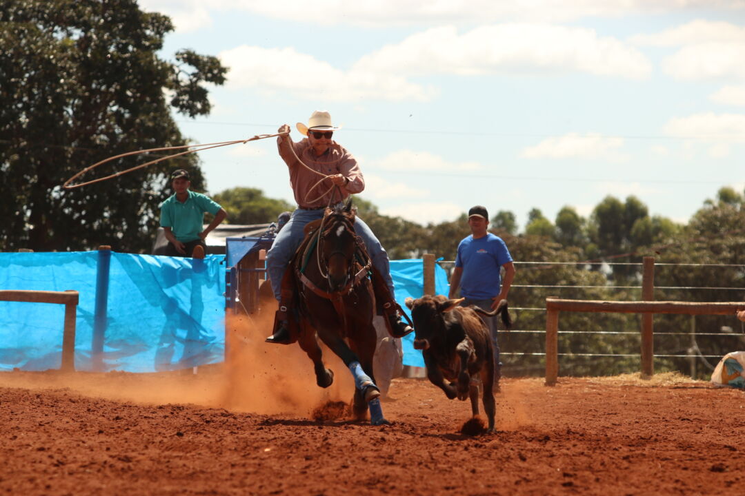 vaqueiro equitação com corda laço em cavalo dentro a campo rodeio