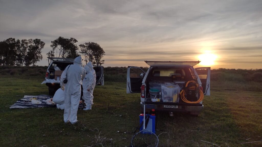 Rio Grande do Sul registra primeiro foco de gripe aviaria