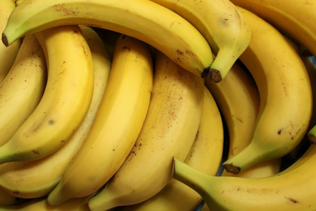 adubo organico aumenta produtividade de banana e pode auxiliar no combate a pragas