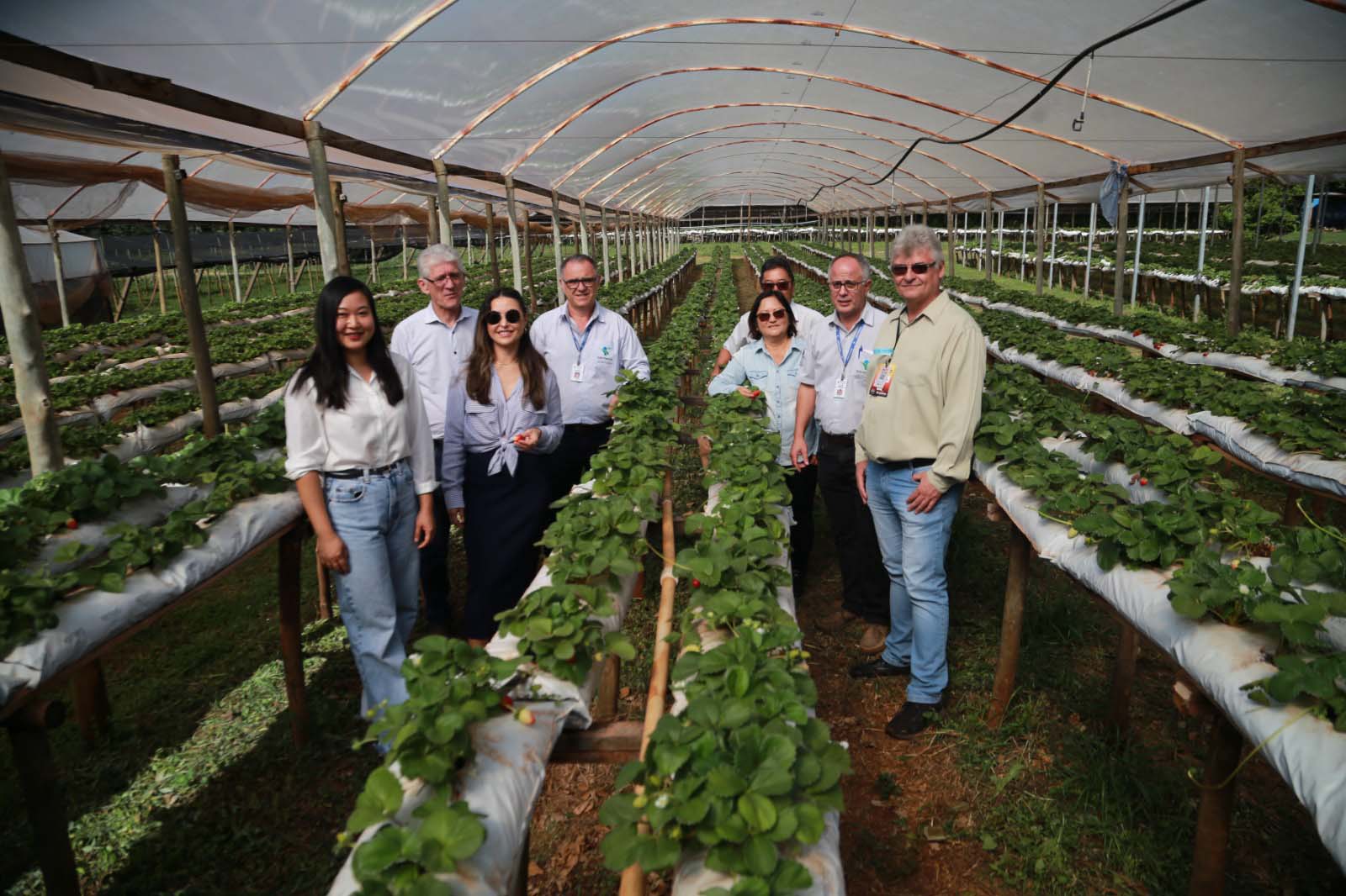 agricultura familiar recebe investimentos na regiao de maringa 1