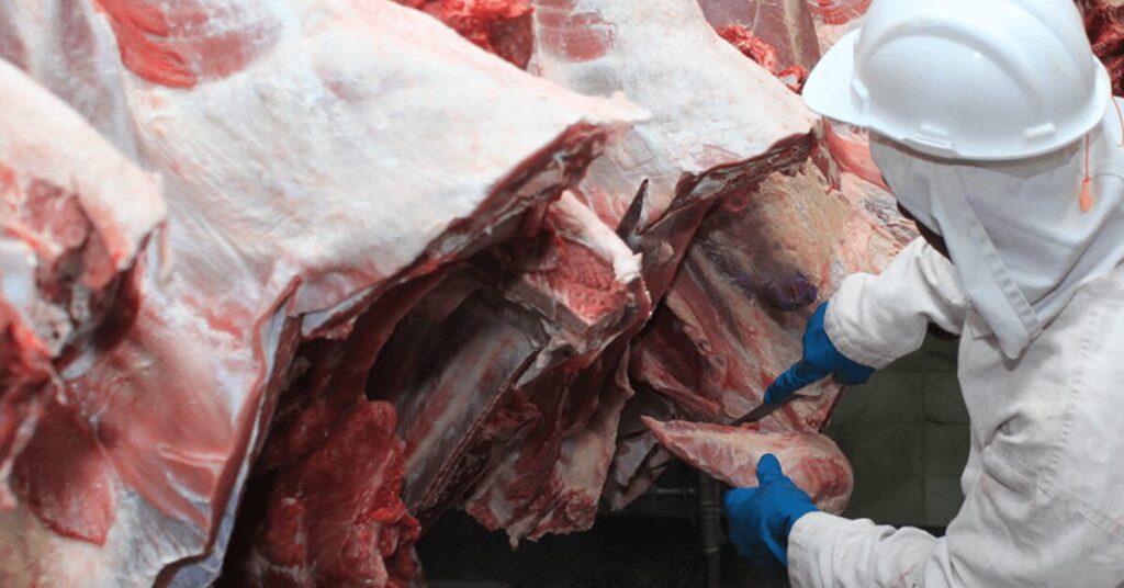 Agronegócio goiano atinge US$ 1,1 bilhão em exportações em abril de 2023 • Portal DBO 2 agronegocio goiano atinge us 11 bilhao em exportacoes em abril de 2023 portal dbo