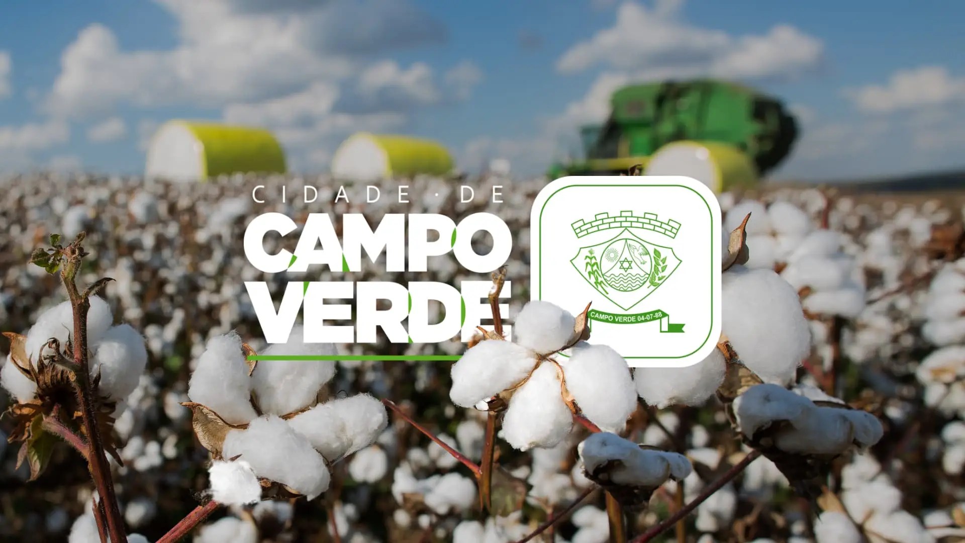 algodao qualidade e resistencia da fibra tornam campo verde polo textil brasileiro