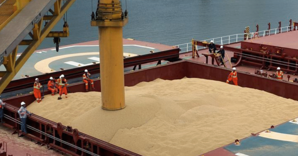 anec preve embarque em maio de 15755 mi t de soja e 570 mil t de milho portal dbo