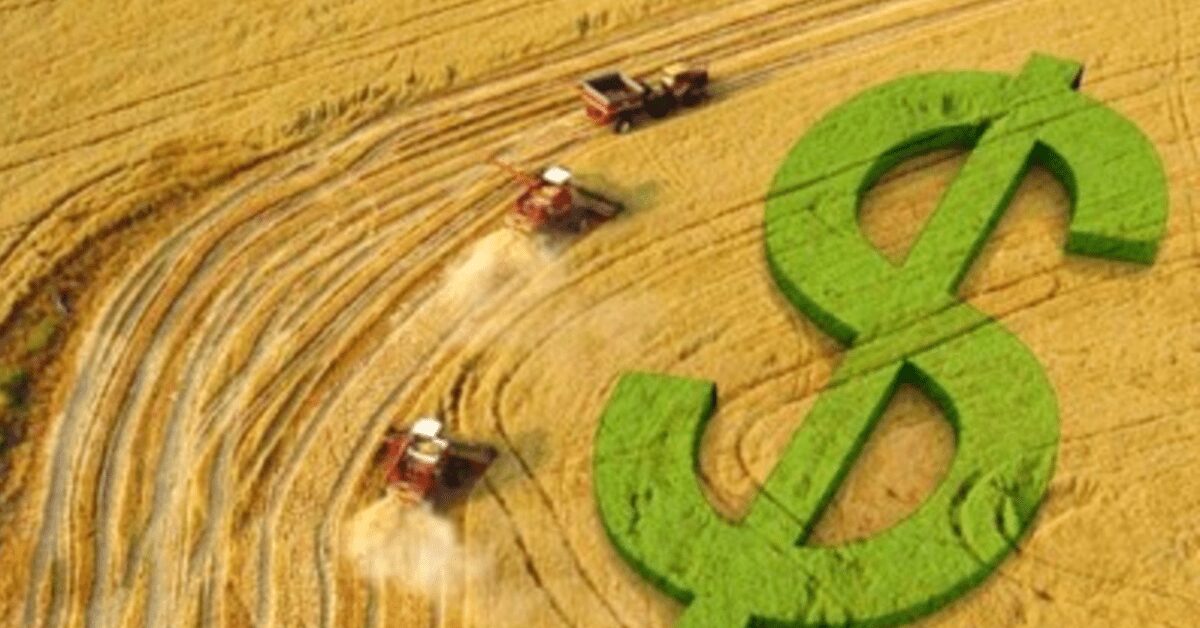 aportes ajudam produtores a elevarem seu nivel de produtividade portal dbo