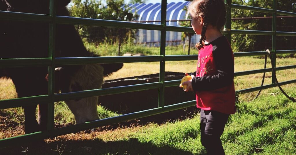 associacao lancara biblioteca virtual para desmitificar agro no material escolar portal dbo