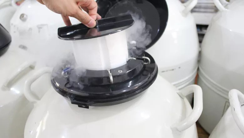 bom momento do leite puxa venda de semen no 1o trimestre aponta pesquisa