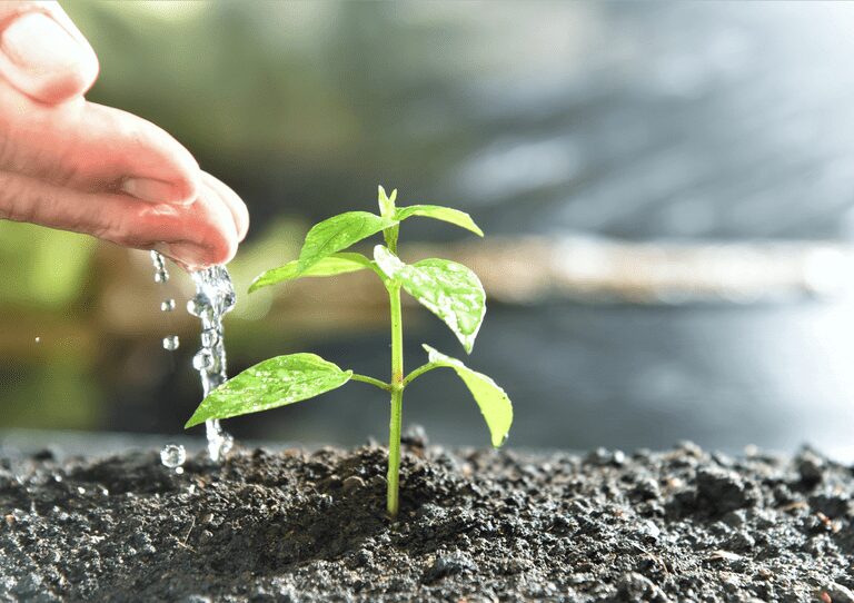 brasil moderniza procedimentos para registro de produtos biologicos 1