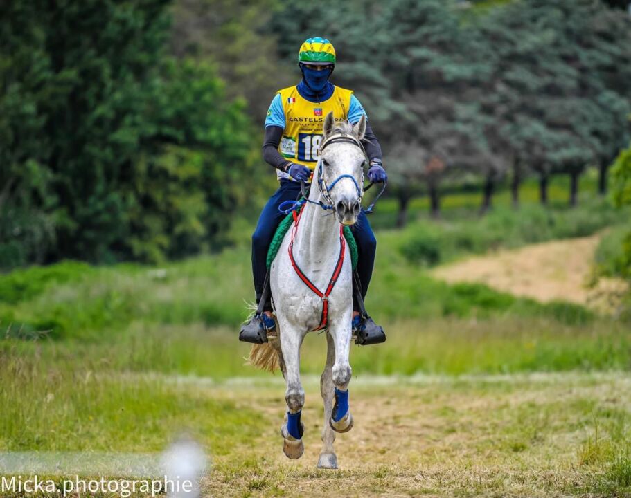 brasileiro rodrigo saliba ganha prova de enduro equestre na franca 1