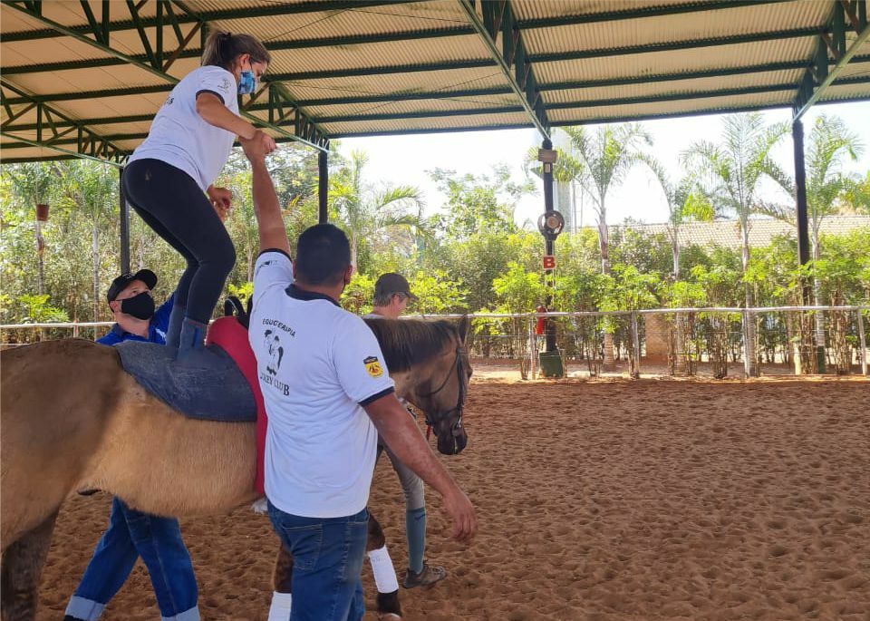 cavalo: Curso de Equitação corporal
