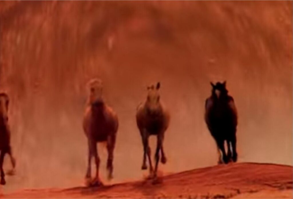 cavalos foram estrelas em aberturas de novelas 1