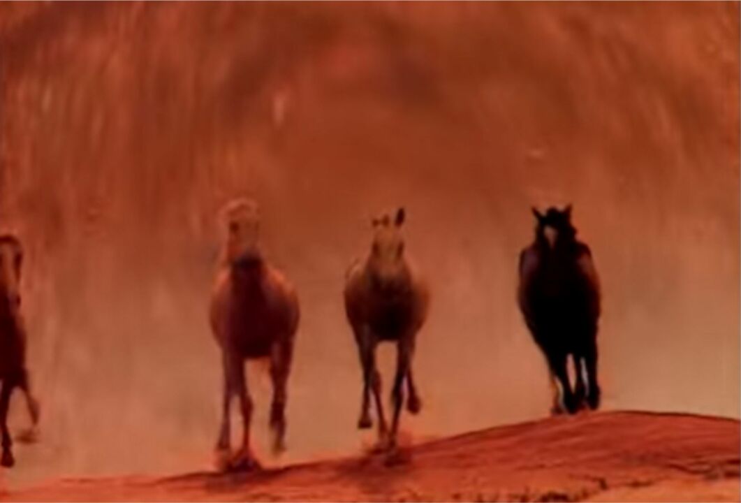 cavalos foram estrelas em aberturas de novelas 1