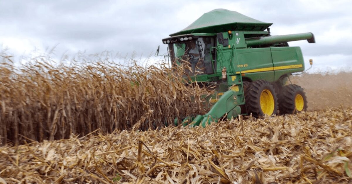 colheita se inicia em meio a preocupacoes com armazenamento portal dbo