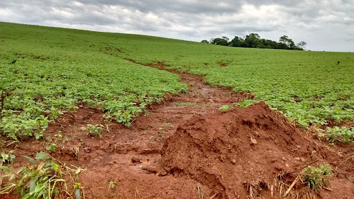 com foco no sistema plantio direto viii rpcs encerra inscricoes dia 6 de maio