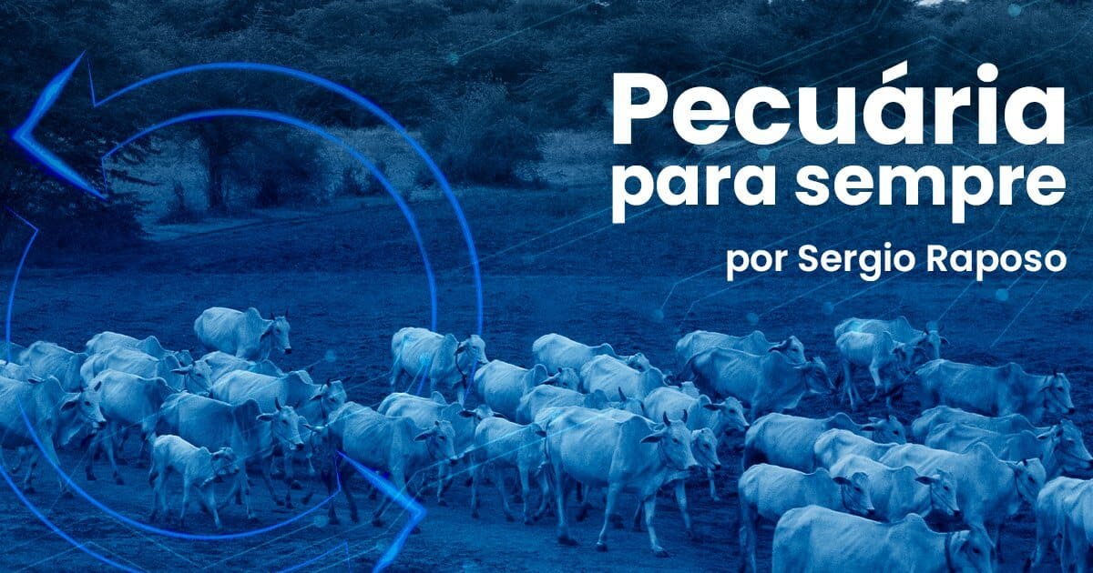 confinamento eficiente Top 5 Segredos da Embrapa