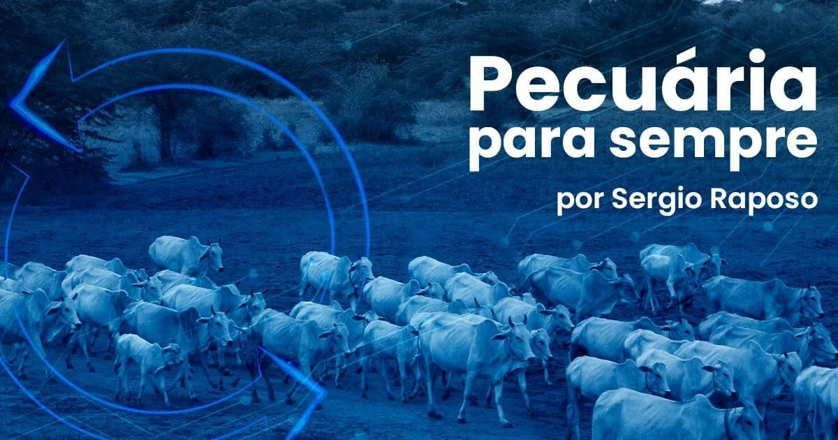 confinamento eficiente Top 5 Segredos da Embrapa 12 confinamento eficiente, gado de corte, rentabilidade, eficiência, produção de carne, alimentação do gado, manejo do gado, sanidade animal, genética do gado, nutrição animal