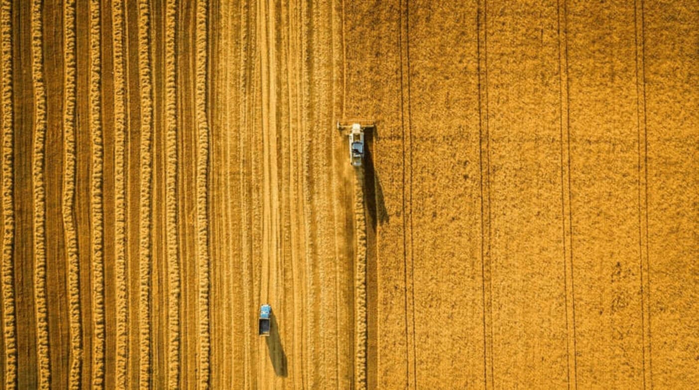 credito rural liberados mais de r 290 bilhoes para os produtores em 10 meses