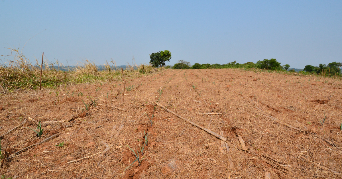 decreto autoriza desconto em credito rural de agricultores afetados por seca portal dbo