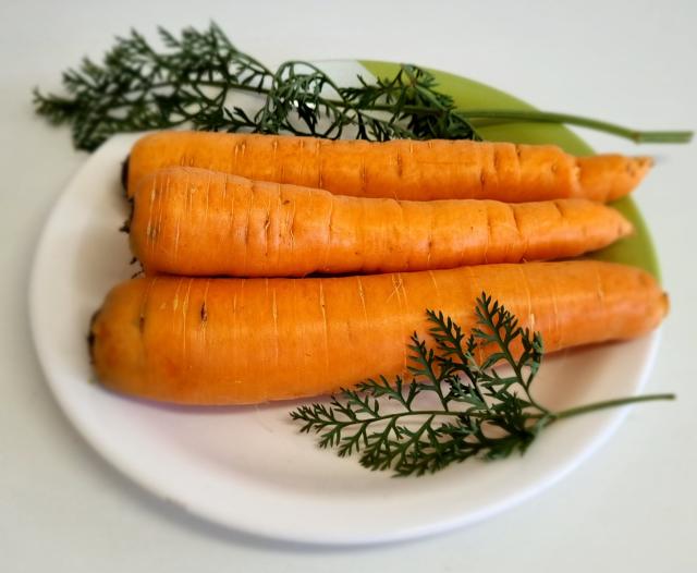 embrapa hortalicas apresenta diversas tecnologias para o agronegocio 1