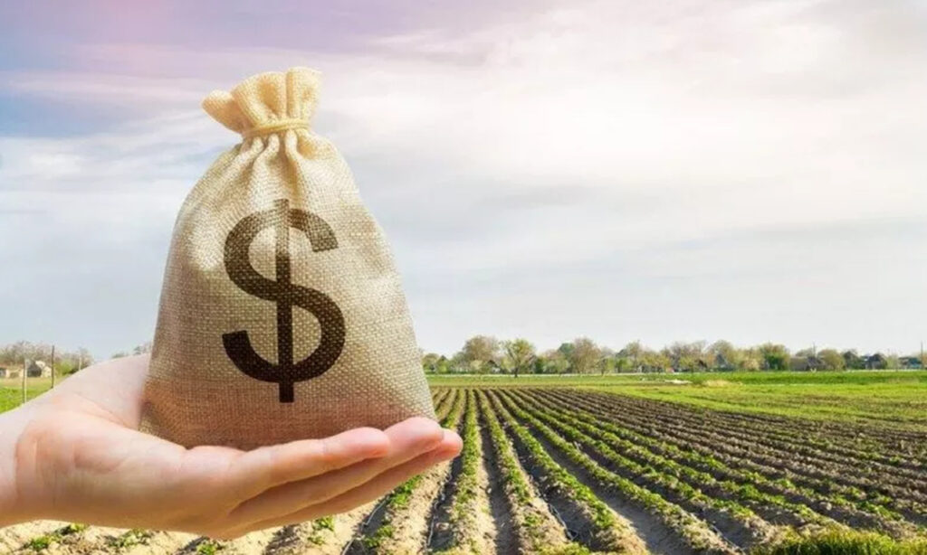 esperamos que o recurso cresca em pelo menos 20 diz ocepar sobre expectativa do plano safra