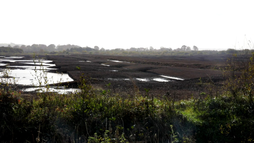 eu rewetting targets will not be tolerated cahill 1