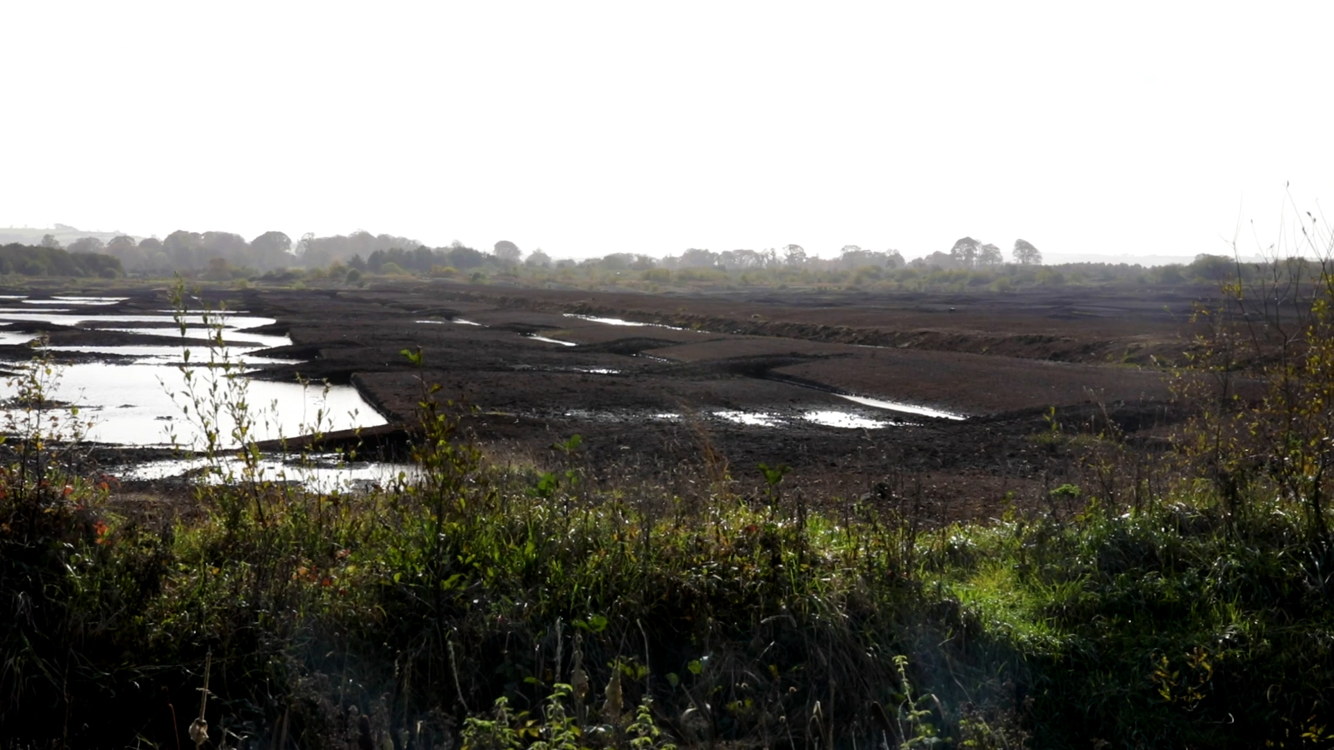 eu rewetting targets will not be tolerated cahill 1