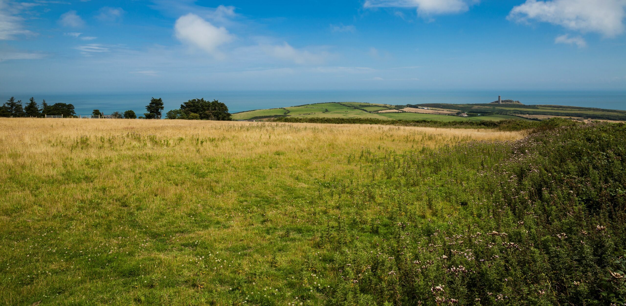 eu urged to review harmful pesticides by action group 1