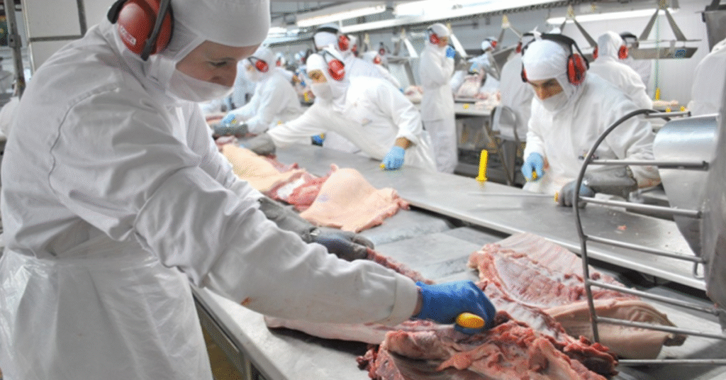 exportadores de aves e de suinos projetam quase us 260 milhoes em vendas apos sial china portal dbo