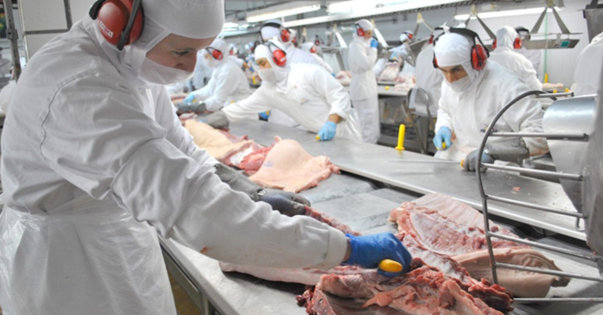 exportadores de aves e de suinos projetam quase us 260 milhoes em vendas apos sial china portal dbo