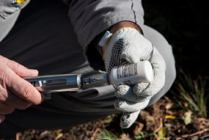 febre aftosa 73 milhoes de bovinos e bubalinos devem ser vacinados na primeira etapa da campanha