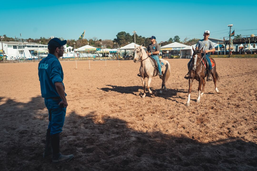 fenasul expoleite 2023 tem participacao da raca mangalarga 1