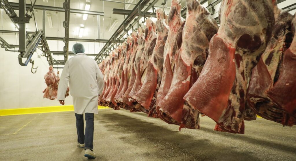 governo confirma fim das restricoes do catar a importacao de carne bovina brasileira