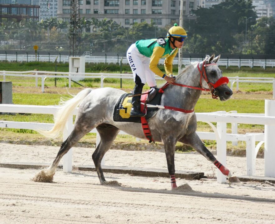 gp paulo jamil saliba homenageia um grande incentivador do cavalo arabe de corrida