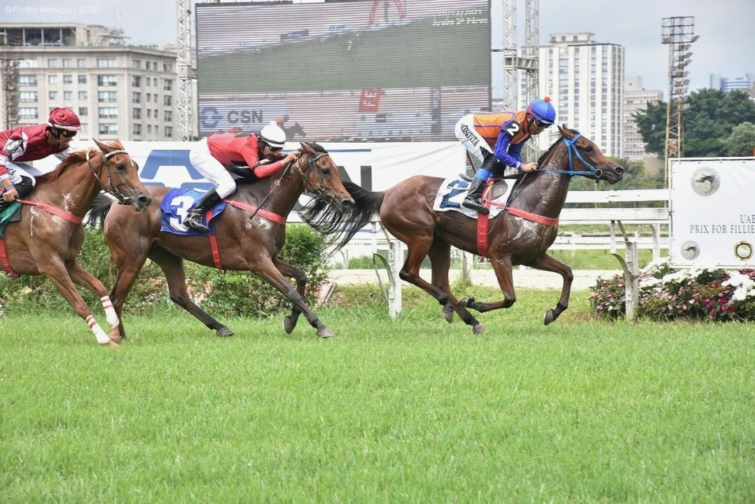 Grande Prêmio de Turfe chega à 100ª edição no Jockey Club de São Paulo 5 Grande Prêmio de Turfe chega à 100ª edição no Jockey Club de São Paulo