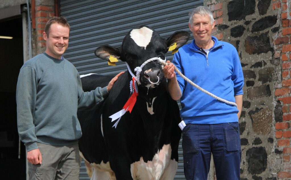 holstein bull sells for 9000gns at kilrea mart 1