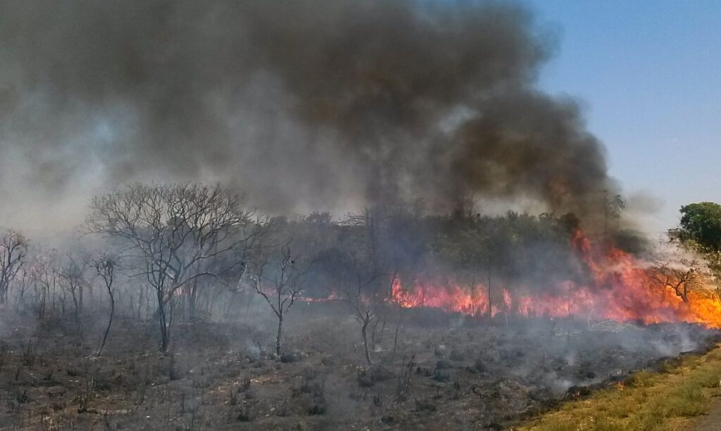 incendios podem causar perdas irreparaveis ao solo 1