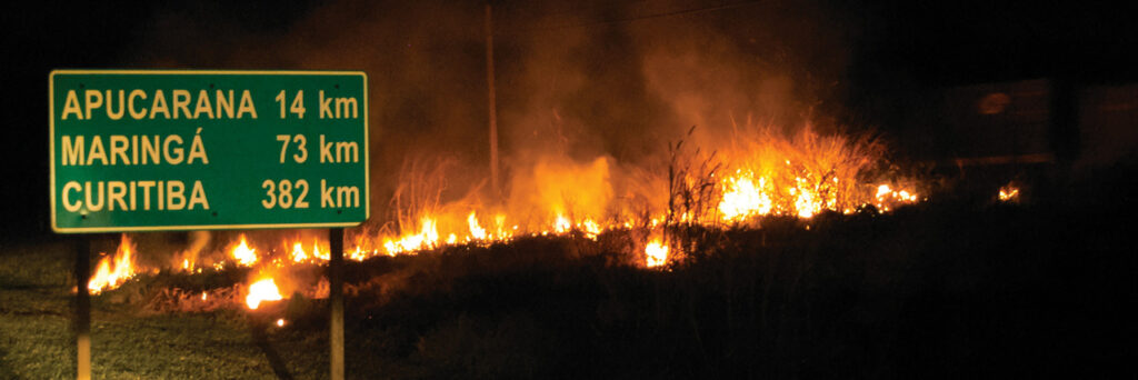 incendios podem causar perdas irreparaveis ao solo 2