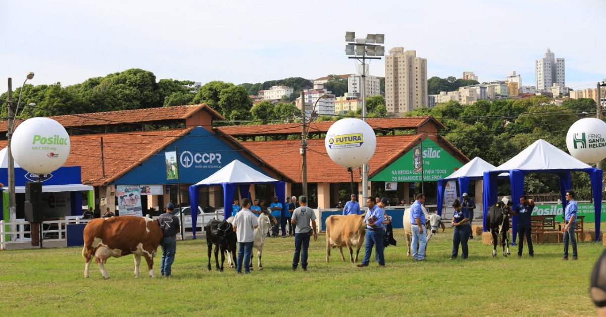 inscricoes para a megaleite 2023 ja estao abertas portal dbo