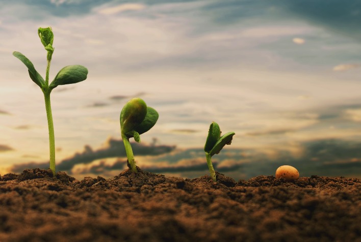 itau bba cria linha bioinsumos em parceria com a agrivalle 1