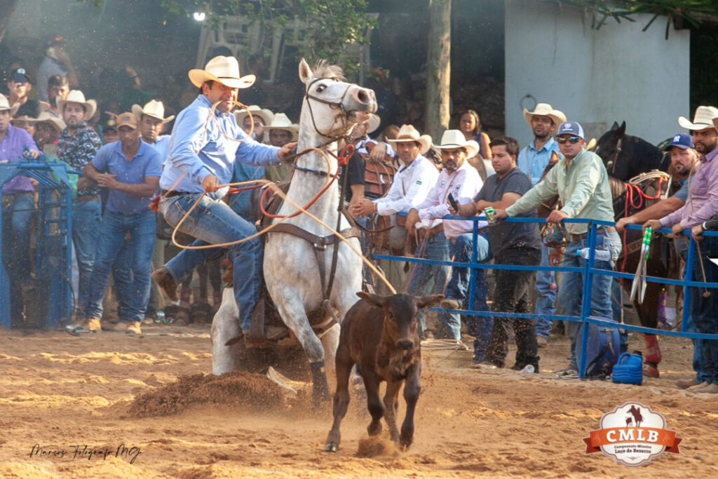 laco-individual-r$31-itatiaiucu