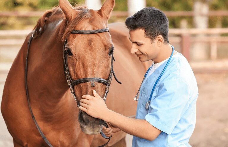 mapa institui maio como mes da saude animal 1
